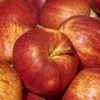 Jabłko na witariańskie plasterki